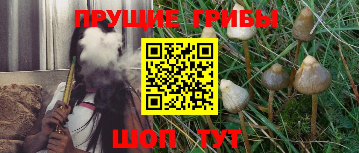 Псилоцибиновые грибы Psilocybine cubensis  Вход с VPN  Серпухов  Галлюциногенные грибы ЛСД 